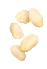 Many peanuts in air on white background