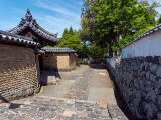 春の東大寺二月堂の裏参道