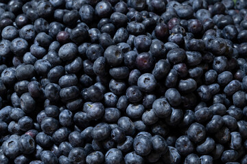 Fresh blueberries from the market