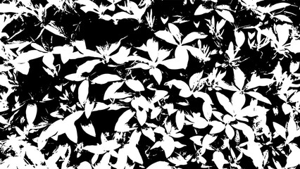 11-55. Grass Texture Effect - Illustration. Old Grass Leaf Black and White Vector Texture.	