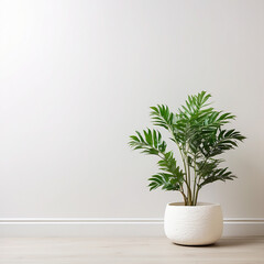A white plant in a white pot sits on a wooden floor