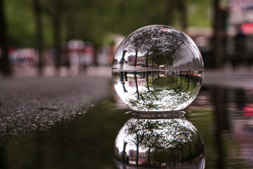 Close up of a crystal ball in a puddle