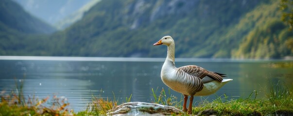 A serene image of a majestic white goose standing on the lush green shore of a tranquil lake with a picturesque mountain backdrop in the distance