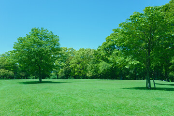 Green Park