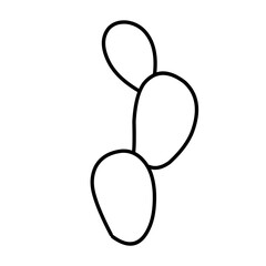 simple cactus outline