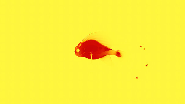 recommend clip art: The colorful fish silhouette swimming in liquid texture. Design. Abstract fat animated fish.