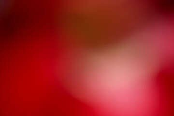 Colorful red blurry abstract background