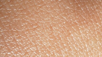 Macro explores human skin intricacies, revealing mesmerizing complexity at microscopic level...