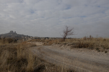 Naklejka premium landscape overlooking the rocks of the ancient city Cappadocia in Türkiye.
