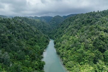 Forest and river going into the hills. Mangarakau, Paturau, Tasman, New Zealand.