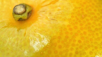 The citrus orb gleams with a lush, greenish-yellow hue. Its sleek, glossy surface reflects light,...