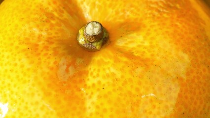 The orange, a vibrant temptation, promises succulent sweetness beneath its ripe, taut skin. Its...