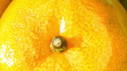 The radiant orange boasts a textured surface, dotted with tiny pits, complemented by a rich yellow...
