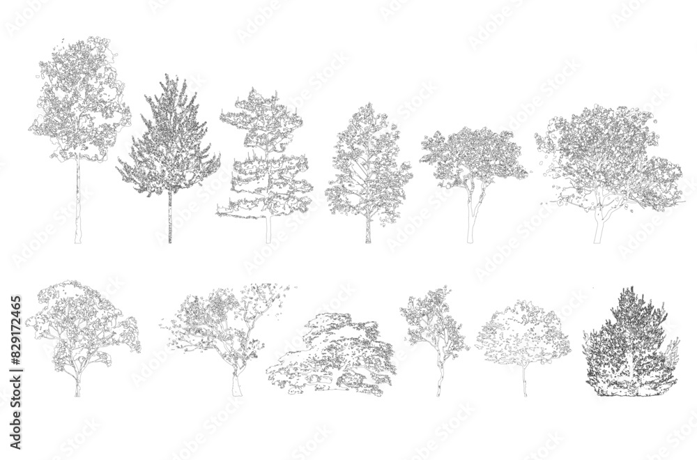 Wall mural Minimal style cad tree line drawing, Side view, set of graphics trees elements outline symbol for architecture and landscape design drawing. Vector illustration in stroke fill in white. Tropical, stre