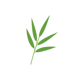 Bamboo leaf