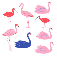 Set of pink flamingo and swans and red ibis in minimalistic style. Vector illustration.