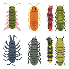 Six various cartoon centipedes different colors poses, centipede has unique body segments, antennae, legs, showcasing diversity. Bright colors, playful design, catered entomology enthusiasts
