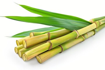 Sugar cane leaves on a white surface