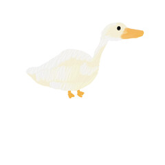 duck isolated on white with oli paint brush