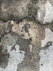 a photography of a dirty wall with a pink flower in the middle.