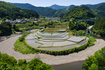 あらぎ島　水張　5月　和歌山県　有田川町　田園