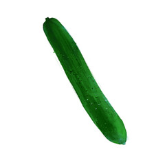 手描き風イラスト（きゅうり）