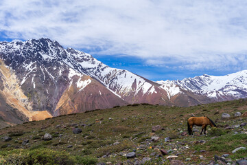 Baños Morales, San José de Maipo, Región Metropolitana, Chile.