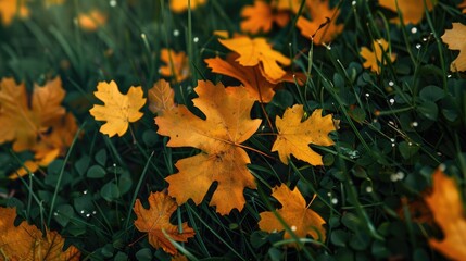 Yellow leaves on an oak branch resting in a sea of green grass representing the arrival of autumn