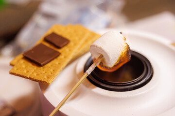 Making S'mores Over a Portable Campfire