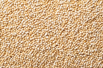 Fototapeta premium Uncooked Quinoa Seeds