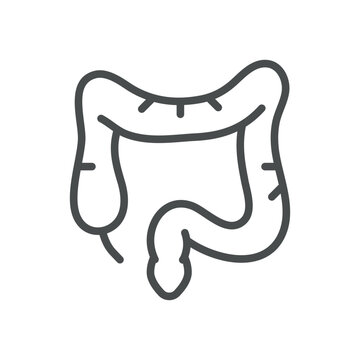 recommend clip art: Colon Large Intestine Icon. Isolated Line Illustration of the Large Intestine, Representing Digestive System and Gastroenterology.