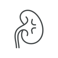 Kidney Icon. Isolated Line Illustration of Human Kidney, Representing Nephrology, Renal Health, and Urinary System. Perfect for Medical and Healthcare Applications.