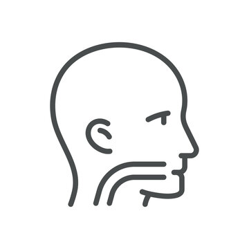 recommend clip art: Larynx and Pharynx Icon. Isolated Line Illustration of Human Larynx and Pharynx, Representing ENT, Respiratory Health, and Throat Anatomy. Perfect for Medical and Healthcare Applications.