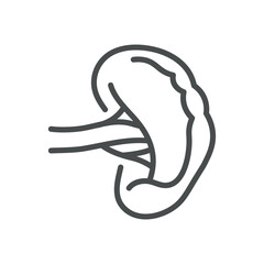 Spleen Icon. Isolated Line Illustration of Human Spleen, Representing Hematology, Immune System, and Organ Function. Perfect for Medical and Healthcare Applications.