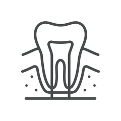 Tooth Anatomy Icon. Simple Isolated Line Illustration of Human Tooth Anatomy, Representing Dental Health, Dentistry, and Oral Care. Perfect for Medical and Healthcare Applications.