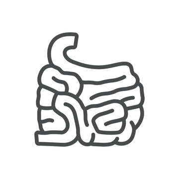 recommend clip art: Small Intestine Icon. Isolated Line Illustration of Human Small Intestine, Representing Digestive Health, Gastroenterology, and Intestinal Function. Perfect for Medical and Healthcare Applications.