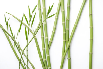 Obraz premium Green Bamboo Shoots on White Background