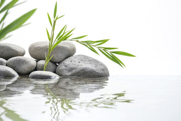Green Bamboo Branch and Gray Stones in Water