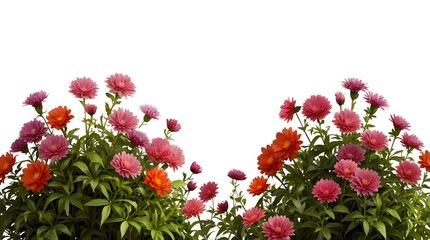 imagine bush of flowers isolated on transparent background.