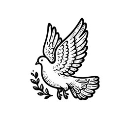 white dove bird hand drawn vintage vector