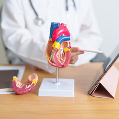 Doctor with human Heart anatomy model and tablet. Cardiovascular Diseases, Atherosclerosis,...