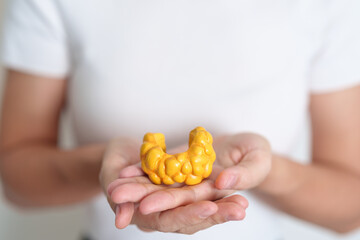 Woman holding human Thyroid anatomy model. Hyperthyroidism, Hypothyroidism, Hashimoto Thyroiditis, Thyroid Tumor and Cancer, Postpartum, Papillary Carcinoma and Health concept