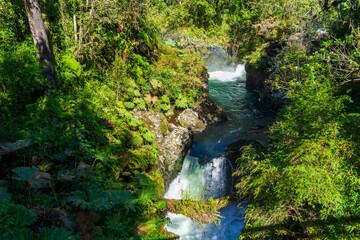 Parque Futangue, Región de Los Ríos, Chile.