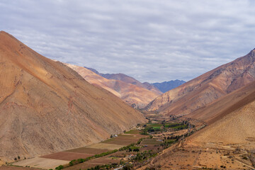 Pisco Elqui, Región de Coquimbo, Chile.