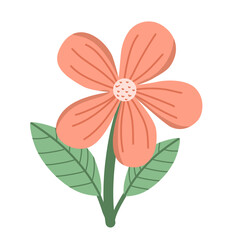 Spring flower illustration
