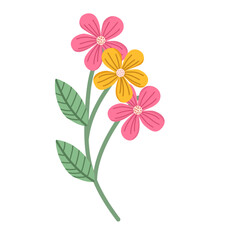Spring flower illustration