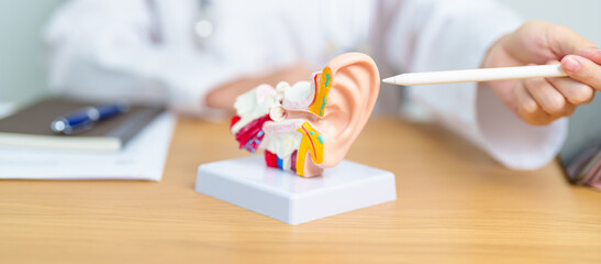 Doctor with human Ear anatomy model. Ear disease, Atresia, Otitis Media, Pertorated Eardrum, Meniere syndrome, otolaryngologist, Ageing Hearing Loss, Schwannoma and Health