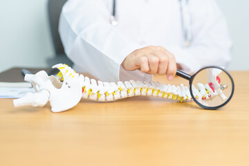 Doctor with human Spine anatomy model. Spinal Cord Disorder and disease, Back pain, Lumbar, Sacral...