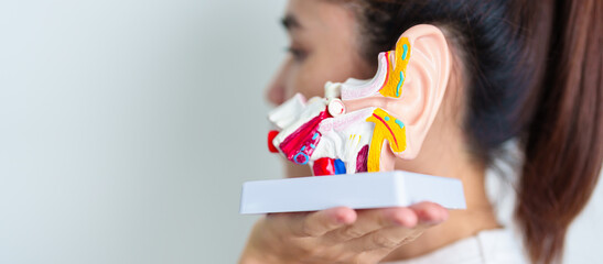 Woman holding human Ear anatomy model. Ear disease, Atresia, Otitis Media, Pertorated Eardrum, Meniere syndrome, otolaryngologist, Ageing Hearing Loss, Schwannoma and Health
