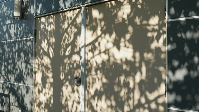 Shadows of leaves on a wall creating a natural pattern